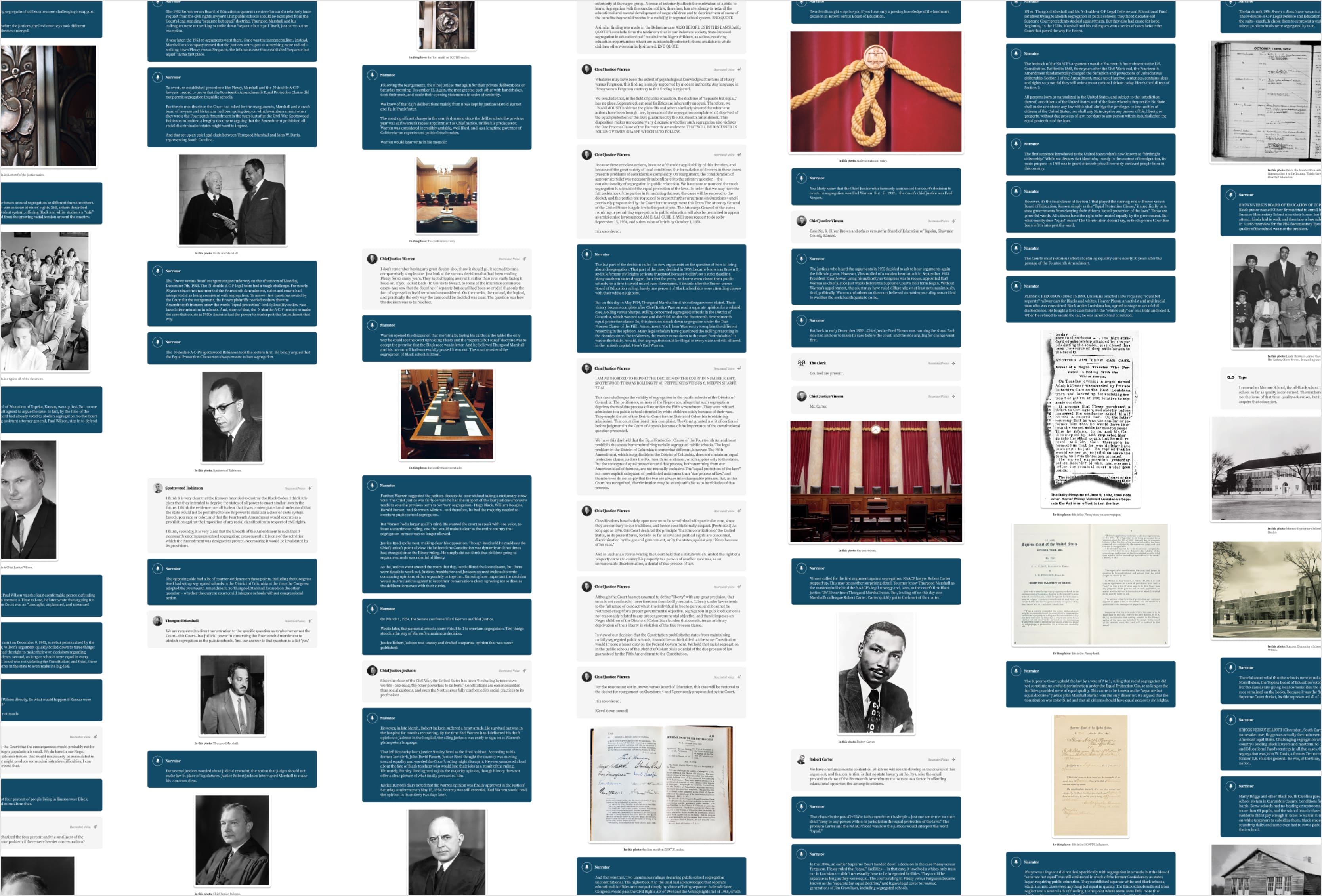 case study brown revisited lawyers historic portrait idib agency