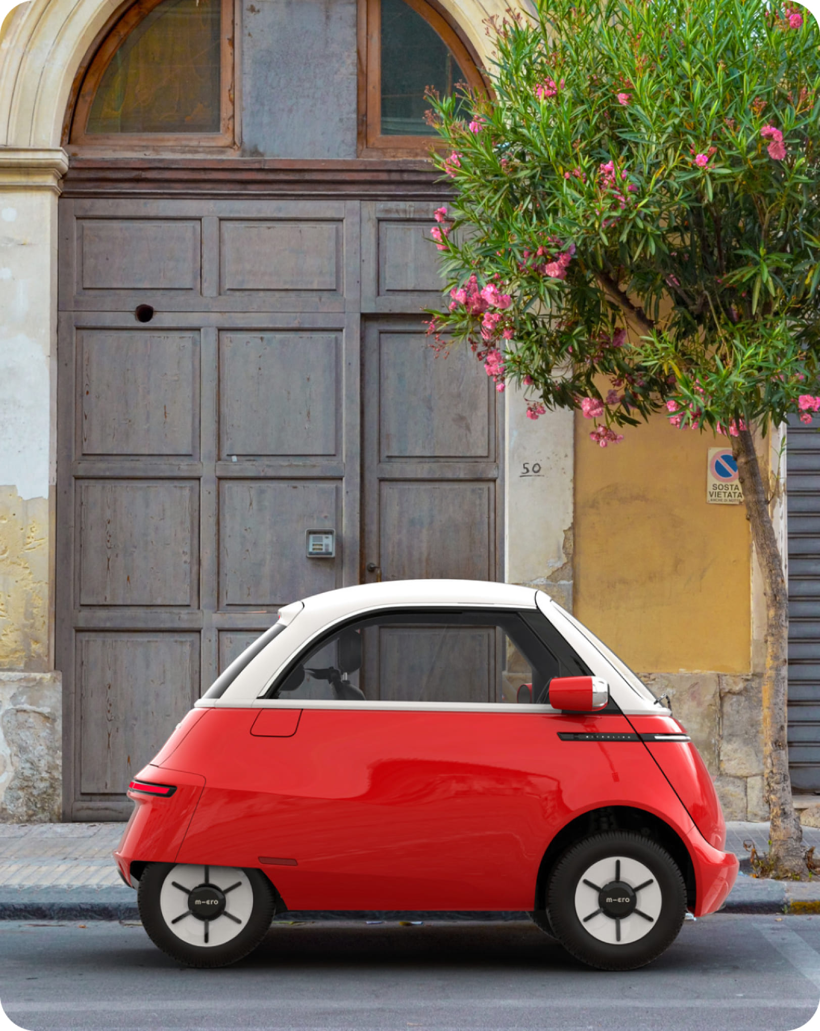 case study koelliker marketplace car idib agency